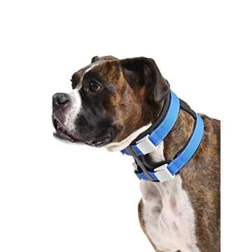 Cesar Millan Pack Leader Collar™ - Training Collar of The Dog Whisperer (Large, Grey)
