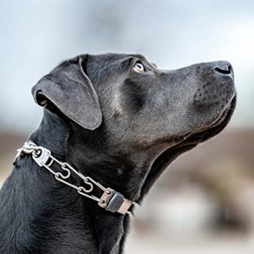 Herm Sprenger ClicLock Buckle for Prong Dog Collars