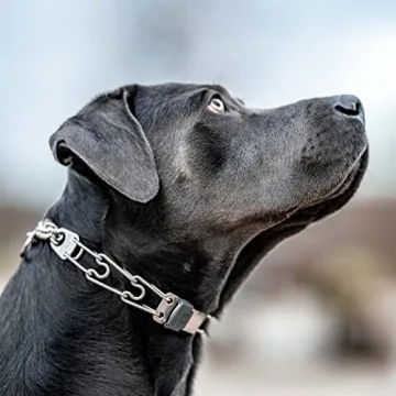 Herm Sprenger ClicLock Buckle for Prong Dog Collars