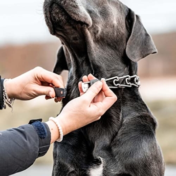 Herm Sprenger ClicLock Buckle for Prong Dog Collars