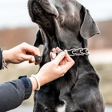 Herm Sprenger ClicLock Buckle for Prong Dog Collars