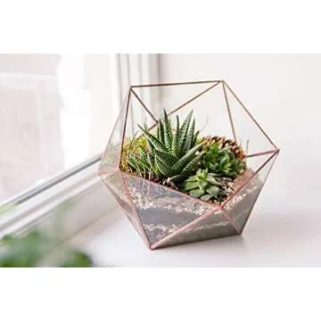 Mosser Lee ML0810 Horticultural Charcoal for Healthy Plants