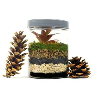 Mosser Lee ML0810 Horticultural Charcoal for Healthy Plants