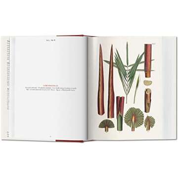 The Book of Palms / Das Buch der Palmen / Le livre des palmiers