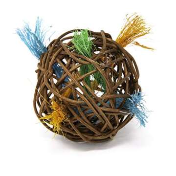 Oxbow Enriched Life Loco Ball: Eco-Friendly Fun for Pets