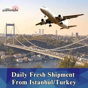 Gulluoglu Turkish Pistachio Baklava 14 Pieces Daily Fresh