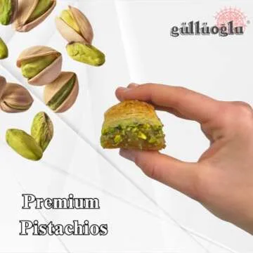 Gulluoglu Turkish Pistachio Baklava 14 Pieces Daily Fresh
