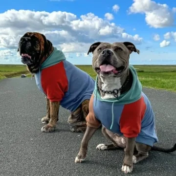 Cozy Spark Paws Dog Hoodie for Small to Large Breeds