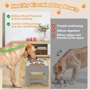 Adjustable Elevated Dog Bowl Stand for Comfort and Health