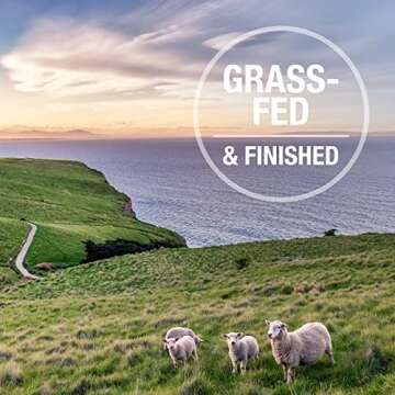 K9 Natural - Grain Free Freeze Dried Dog Food Supplement Booster - Beef Green Tripe, 8oz