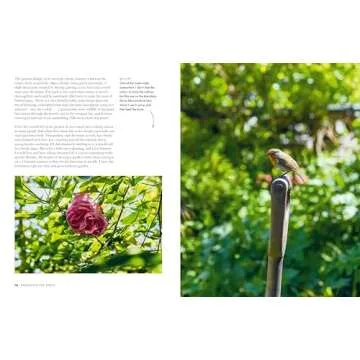 Gardeners’ World: A Year in a Small Garden Gift Guide