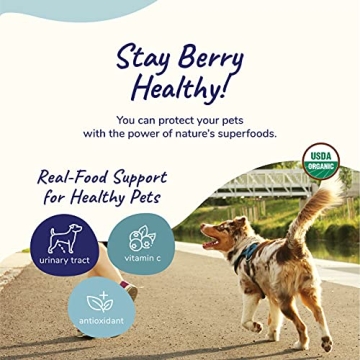 kin+kind Natural Cranberry Supplement for Pets - USA Made