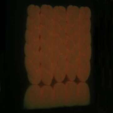 ItsUHair 5pcs Hot Pink Braiding Hair Jumbo Braids Glow in the Dark Hair Pre Stretched 24inch Synthetic Colored Hair Extensions for Box Braids