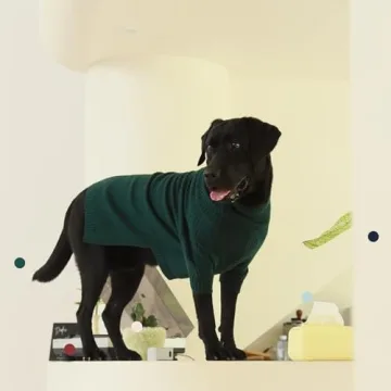 IECOii Turtleneck Small Dog Sweater for Cold Weather