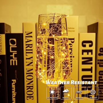 66 ft LED Fairy String Lights USB with Remote and Timer