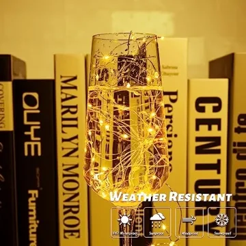 66 ft LED Fairy String Lights USB with Remote and Timer