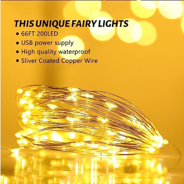 66 ft LED Fairy String Lights USB with Remote and Timer
