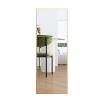 Stylish LFT HUIMEI2Y Full Length Mirror - 65x22"