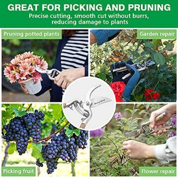 Berry&Bird Garden Pruning Shears with Curved Blades Gardening Hand Pruning Snips Titanium Coated Precision Blades Trimming Scissors Bonsai Clippers