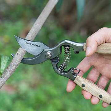 Berry&Bird Garden Pruning Shears with Curved Blades Gardening Hand Pruning Snips Titanium Coated Precision Blades Trimming Scissors Bonsai Clippers
