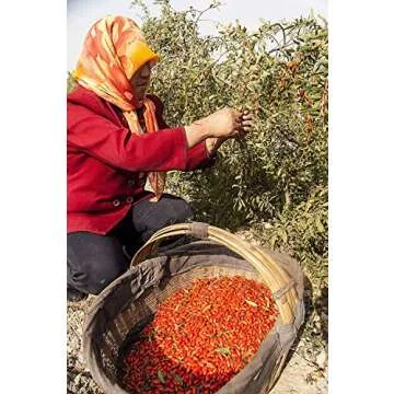 Wholeberry Organic Goji Berries 32oz Raw Vegan Gluten-Free Superfood