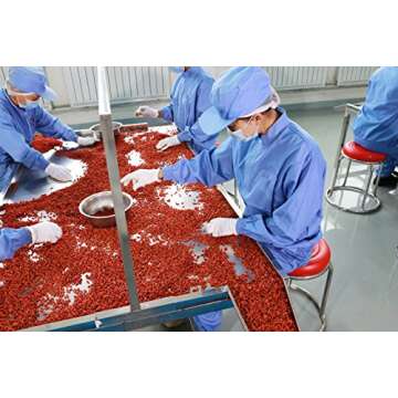 Wholeberry Organic Goji Berries 32oz Raw Vegan Gluten-Free Superfood