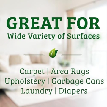 Biokleen Bac-Out Stain Remover, Eco-Friendly 2 Pack