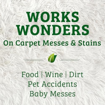 Biokleen Bac-Out Stain Remover, Eco-Friendly 2 Pack