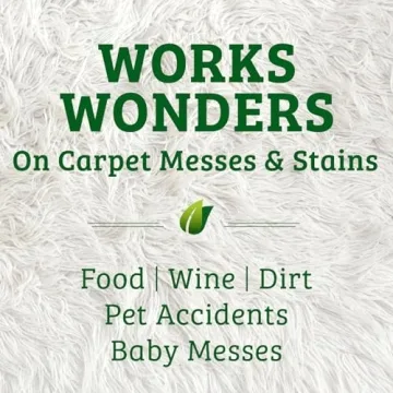 Biokleen Bac-Out Stain Remover, Eco-Friendly 2 Pack