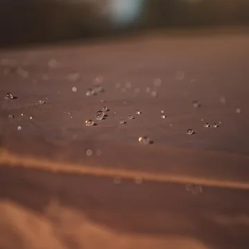 Gazelle Tents G6 Portable Gazebo for 8 People Outdoor Fun