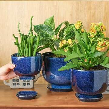 vicrays Ceramic Plant Pots Indoor - 6.8/5.5/4.3 Inch Planter Pot with Drainage Hole and Saucer for S...
