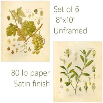 Ink Inc. Vintage Botanical Prints | Psychoactive Plants Cannabis Coca Opium Poppy Tobacco Wormwood Grapes | Set of 6 8"x10" Unframed