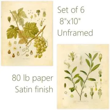 Ink Inc. Vintage Botanical Prints | Psychoactive Plants Cannabis Coca Opium Poppy Tobacco Wormwood Grapes | Set of 6 8"x10" Unframed