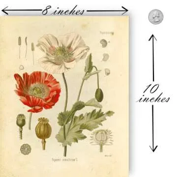 Ink Inc. Vintage Botanical Prints | Psychoactive Plants Cannabis Coca Opium Poppy Tobacco Wormwood Grapes | Set of 6 8"x10" Unframed