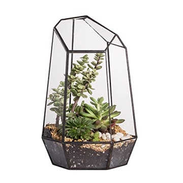 NCYP Geometric Glass Terrarium for Succulent and Cacti