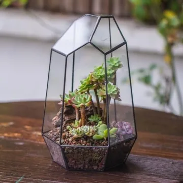 NCYP Geometric Glass Terrarium for Succulent and Cacti