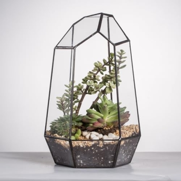 NCYP Geometric Glass Terrarium for Succulent and Cacti