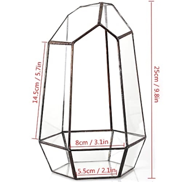 NCYP Geometric Glass Terrarium for Succulent and Cacti