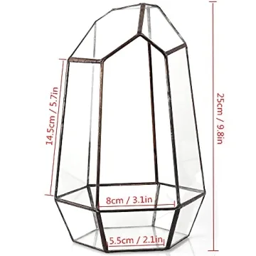 NCYP Geometric Glass Terrarium for Succulent and Cacti