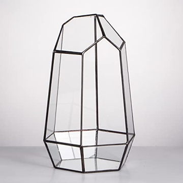 NCYP Geometric Glass Terrarium for Succulent and Cacti