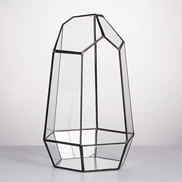 NCYP Geometric Glass Terrarium for Succulent and Cacti