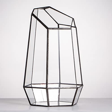 NCYP Geometric Glass Terrarium for Succulent and Cacti