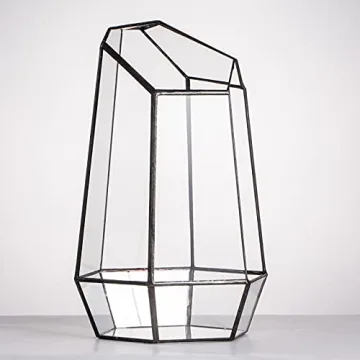NCYP Geometric Glass Terrarium for Succulent and Cacti