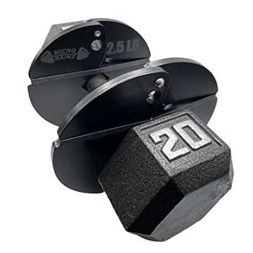 Micro Gainz 2.5LB Banded Dumbbell Fractional Weight Plates 2 or 4 Pack (Choose a Set)- Designed for Dumbbell Training and Micro Loading, Made in USA (4)