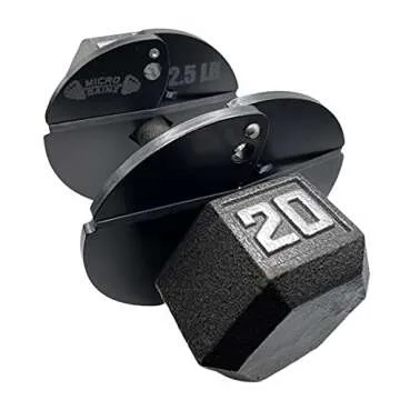 Micro Gainz 2.5LB Banded Dumbbell Fractional Weight Plates 2 or 4 Pack (Choose a Set)- Designed for Dumbbell Training and Micro Loading, Made in USA (4)