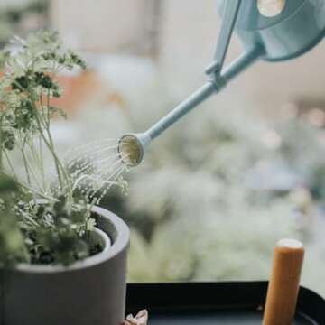 Haws Light Blue Plastic 1 Pint Indoor Watering Can for Orchids, African Violets and Seedlings