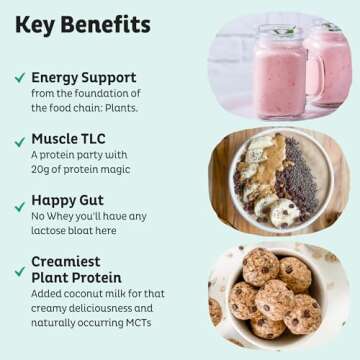 KOS Vegan Protein Powder, Unflavored & Unsweetened - Low Carb Pea Protein Blend, Organic Superfood Rich in Vitamins & Minerals - Keto, Soy, Dairy Free - Meal Replacement for Women & Men - 20 Servings