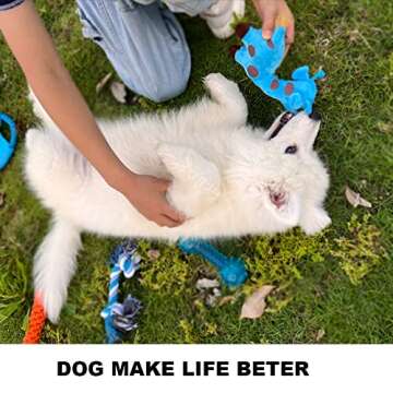 BUIBIIU Dog Toys Small Dog Chew Toys Dog Teething Toys Squeaky Toys Chihuahua Pomeranian Corgi and PoodlesToys 6 PCS