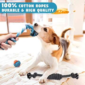 BUIBIIU Dog Toys Small Dog Chew Toys Dog Teething Toys Squeaky Toys Chihuahua Pomeranian Corgi and PoodlesToys 6 PCS