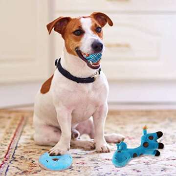 BUIBIIU Dog Toys Small Dog Chew Toys Dog Teething Toys Squeaky Toys Chihuahua Pomeranian Corgi and PoodlesToys 6 PCS